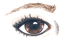 Brown Eye